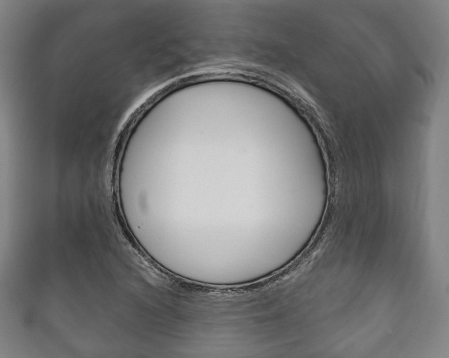 X0000111241216200907020951