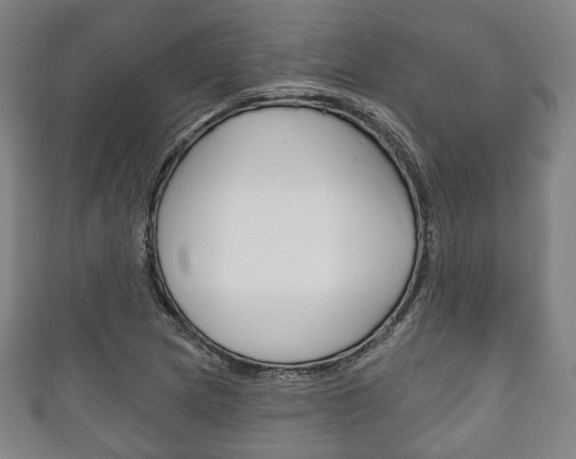 X0000111241217200907020951