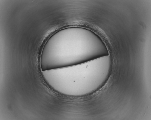 X0000111241218200907020951