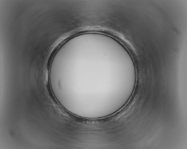X0000111241221200907020952