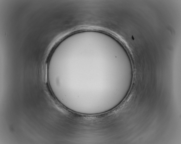 X0000111241223200907020952