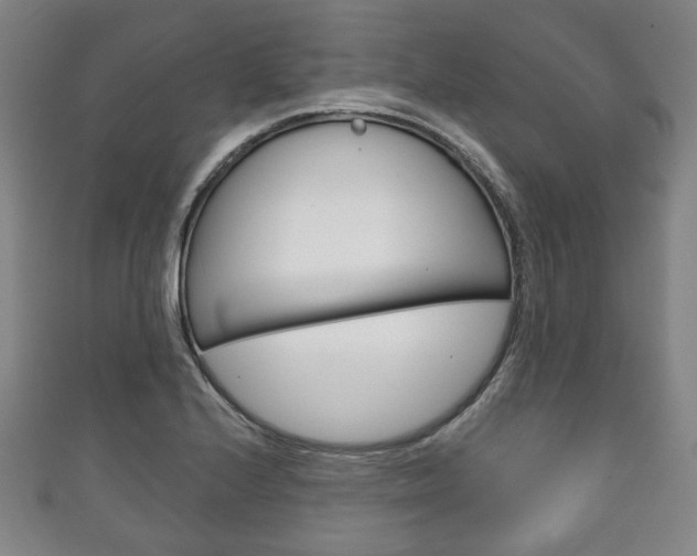 X0000111241224200907020952