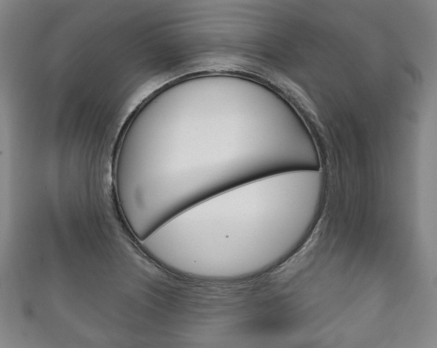 X0000111241226200907020952