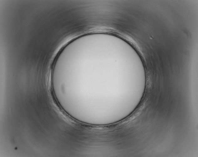 X0000111241227200907020952