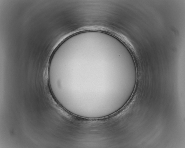 X0000111241228200907020952