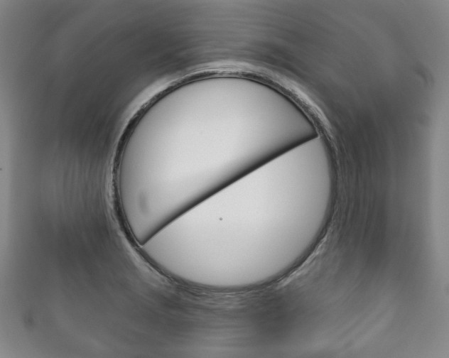 X0000111241229200907020952