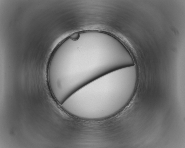 X0000111241230200907020952