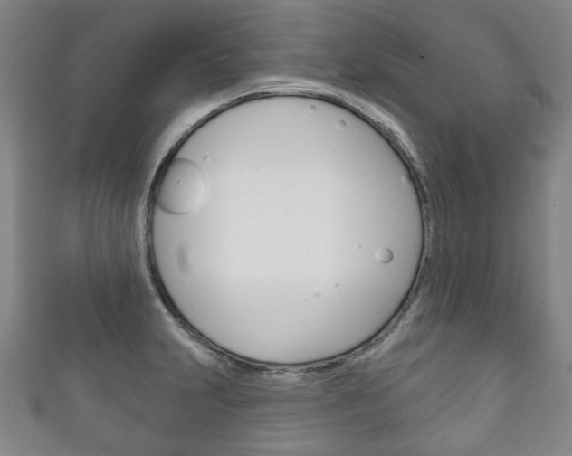 X0000111241231200907020952