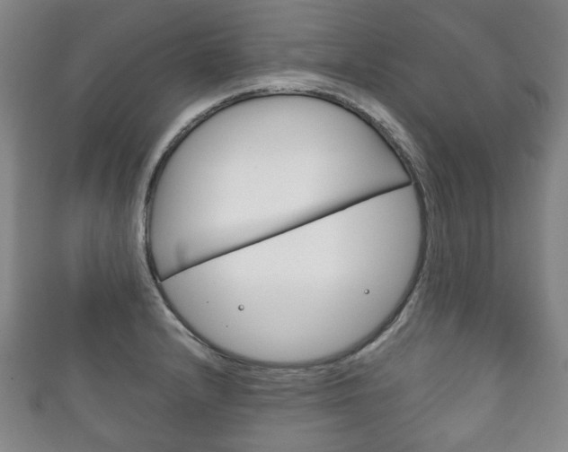 X0000111241232200907020952