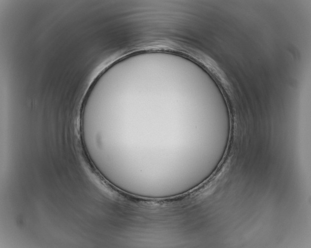 X0000111241234200907020952