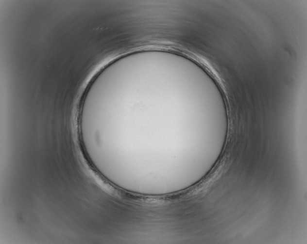 X0000111241235200907020952