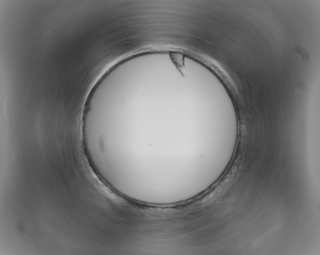 X0000111241236200907020952