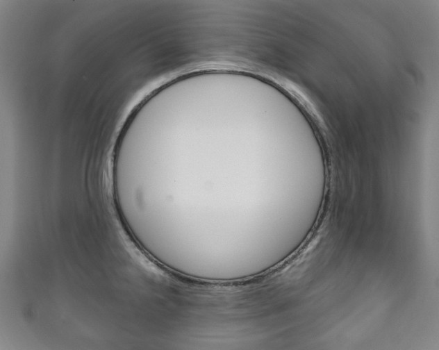X0000111241238200907020952