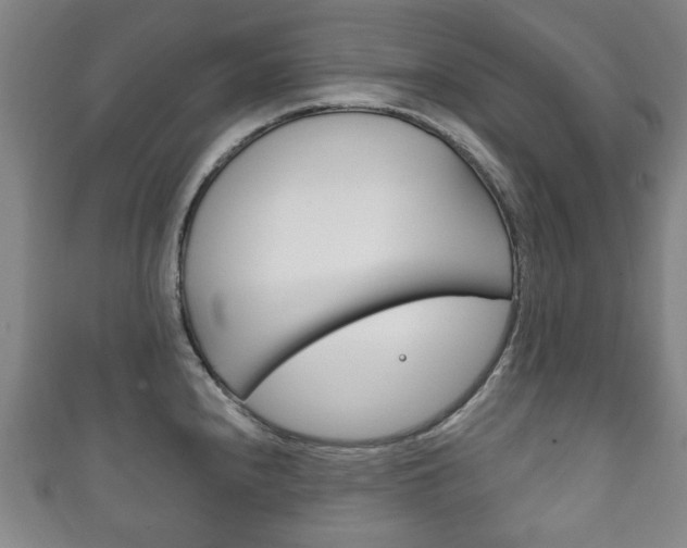 X0000111241240200907020952