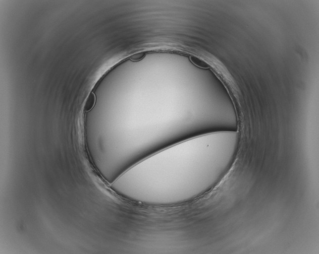 X0000111241242200907020952