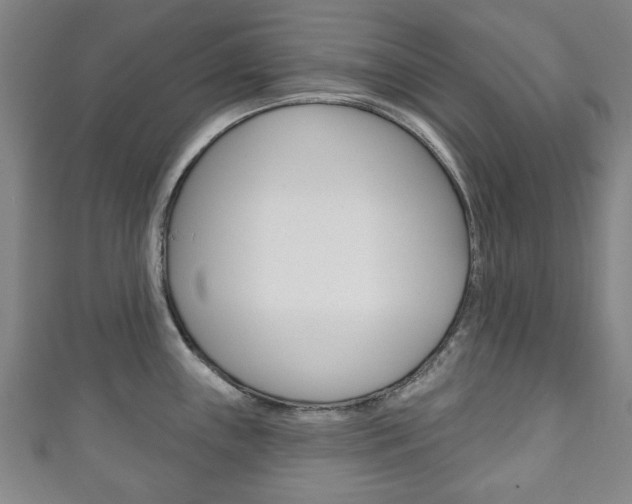 X0000111241243200907020952