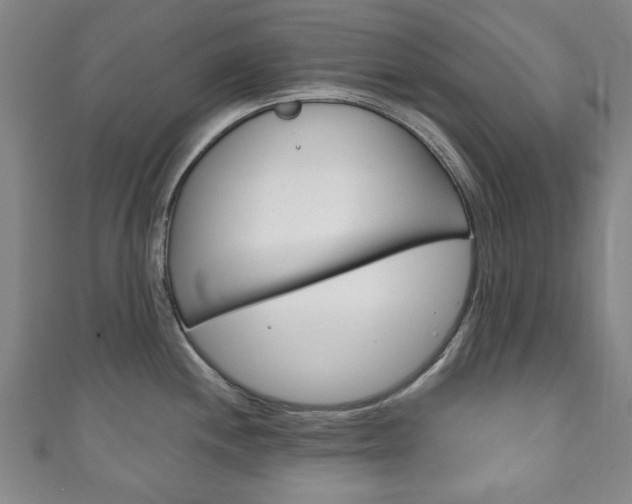 X0000111241244200907020952