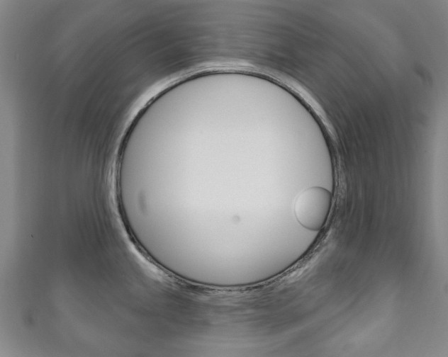 X0000111241245200907020952