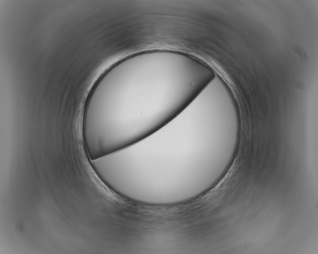 X0000111241246200907020952