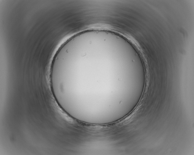 X0000111241248200907020952