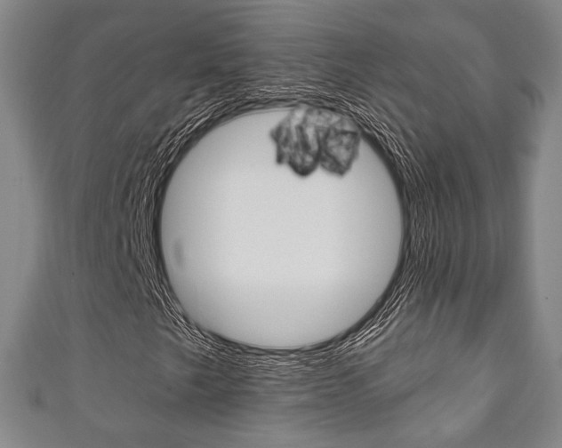 X0000111241249200907020951