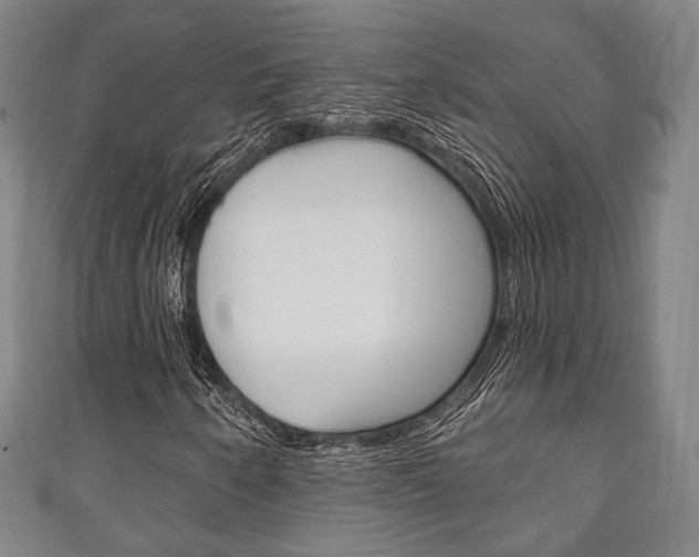 X0000111241250200907020951