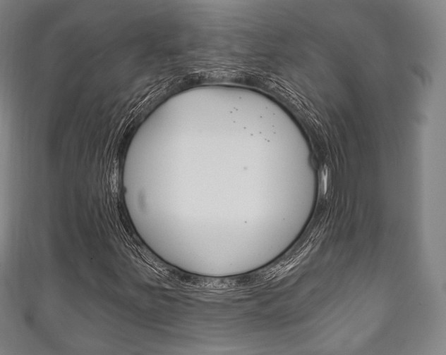 X0000111241251200907020951