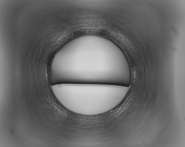 X0000111241252200907020951