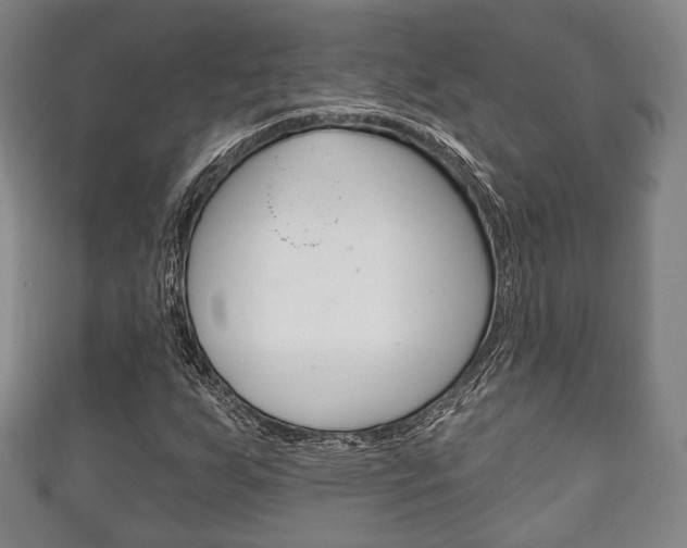 X0000111241255200907020951