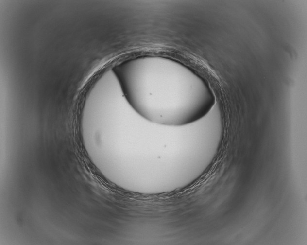 X0000111241256200907020951
