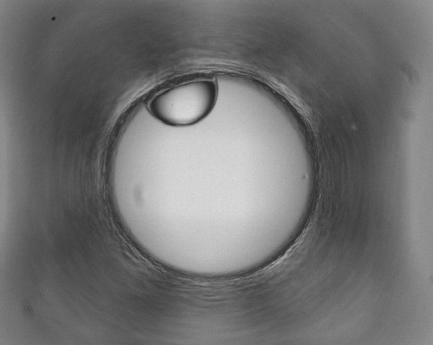 X0000111241261200907020951