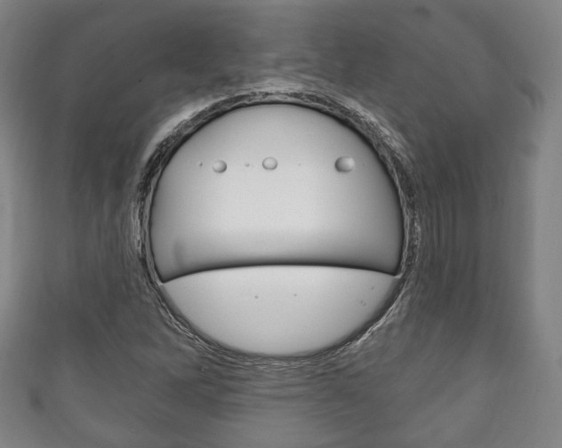X0000111241262200907020951