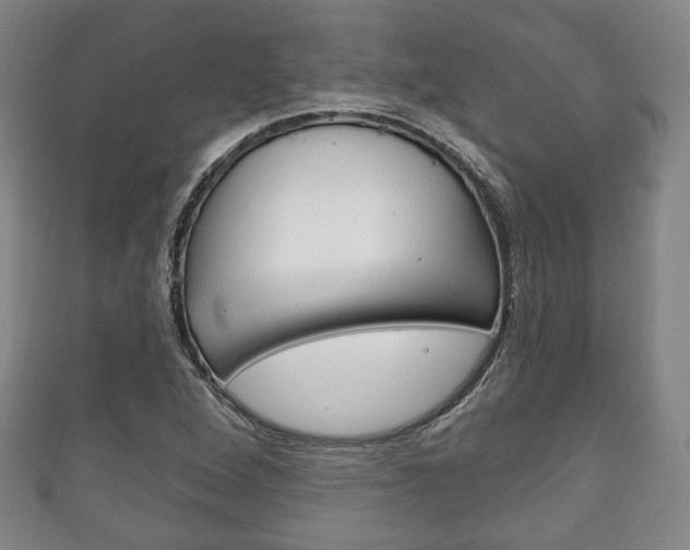 X0000111241264200907020951
