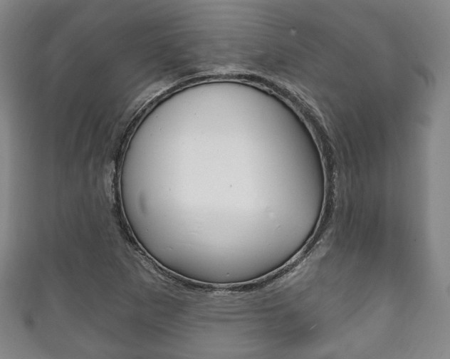 X0000111241265200907020951