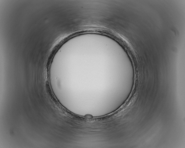 X0000111241267200907020951