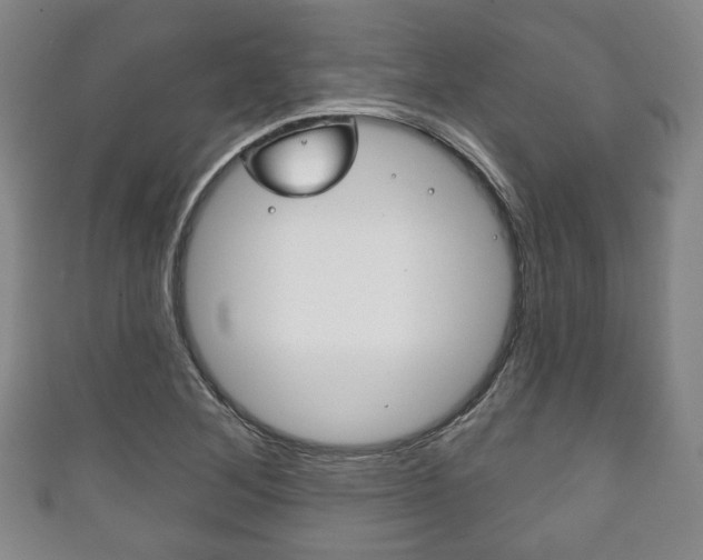 X0000111241268200907020951