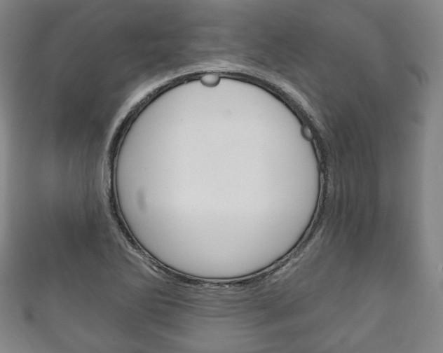 X0000111241270200907020951