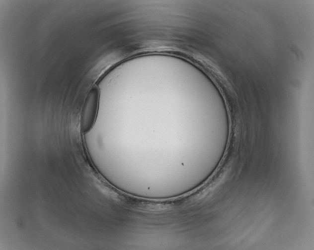 X0000111241273200907020951