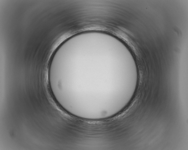 X0000111241274200907020951