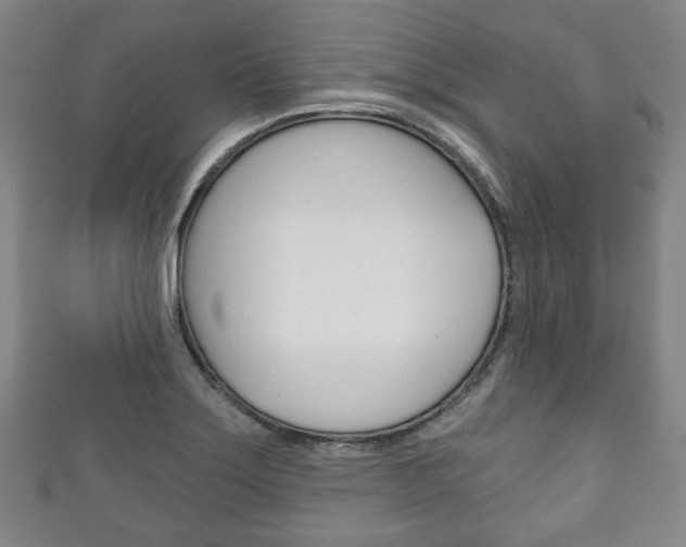 X0000111241275200907020951