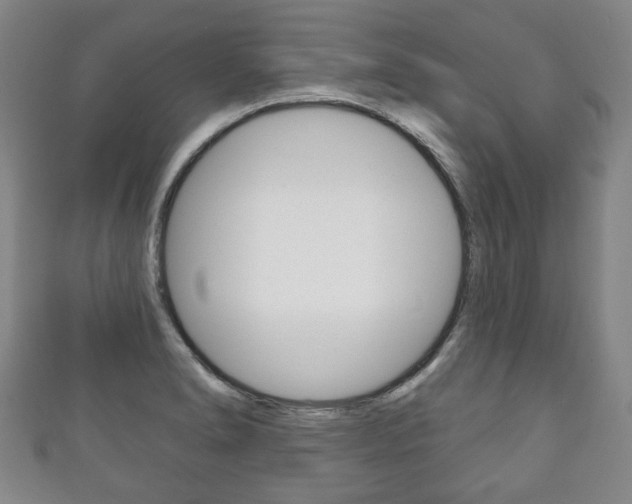 X0000111241278200907020951