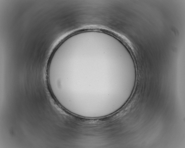 X0000111241279200907020951