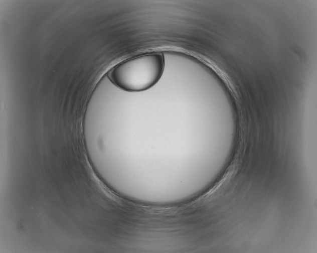 X0000111241281200907020951