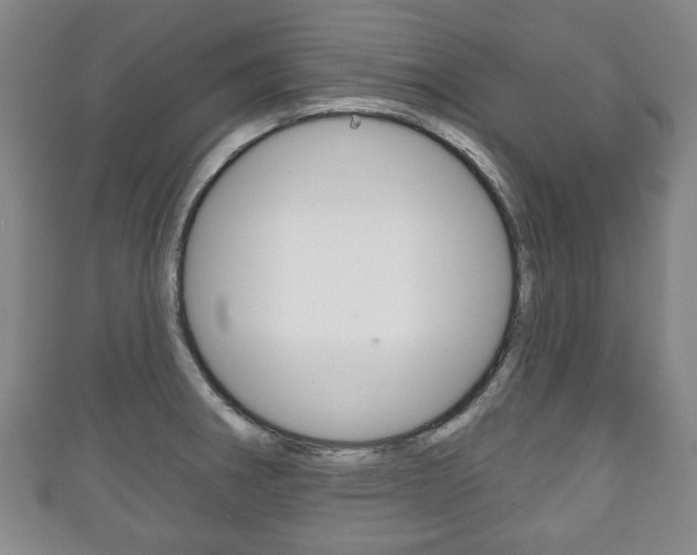 X0000111241282200907020951