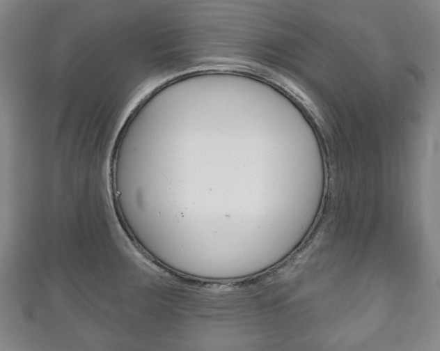 X0000111241283200907020951