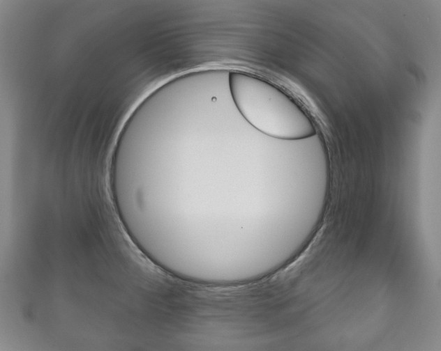X0000111241284200907020951