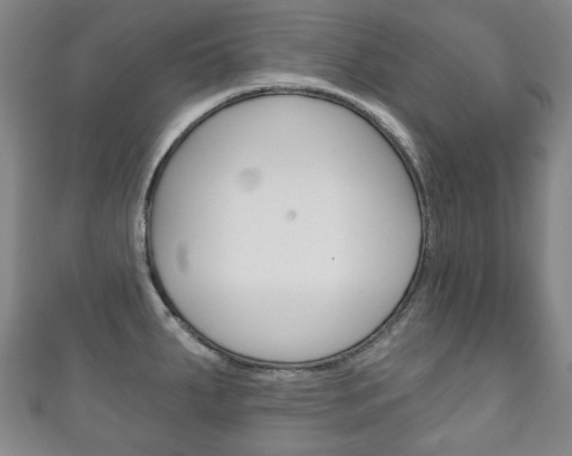 X0000111241287200907020951