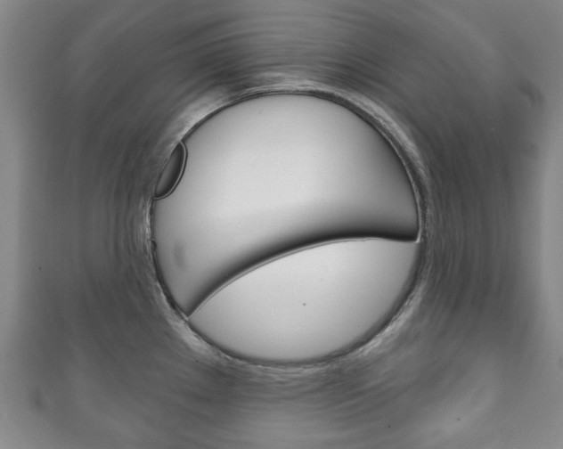 X0000111241289200907020951