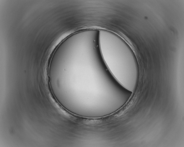 X0000111241293200907020951