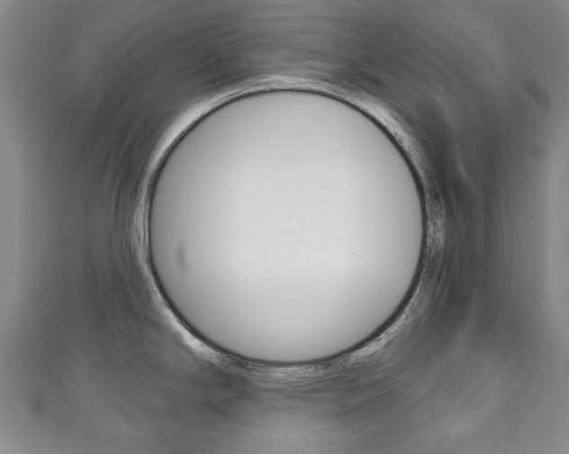 X0000111241294200907020951